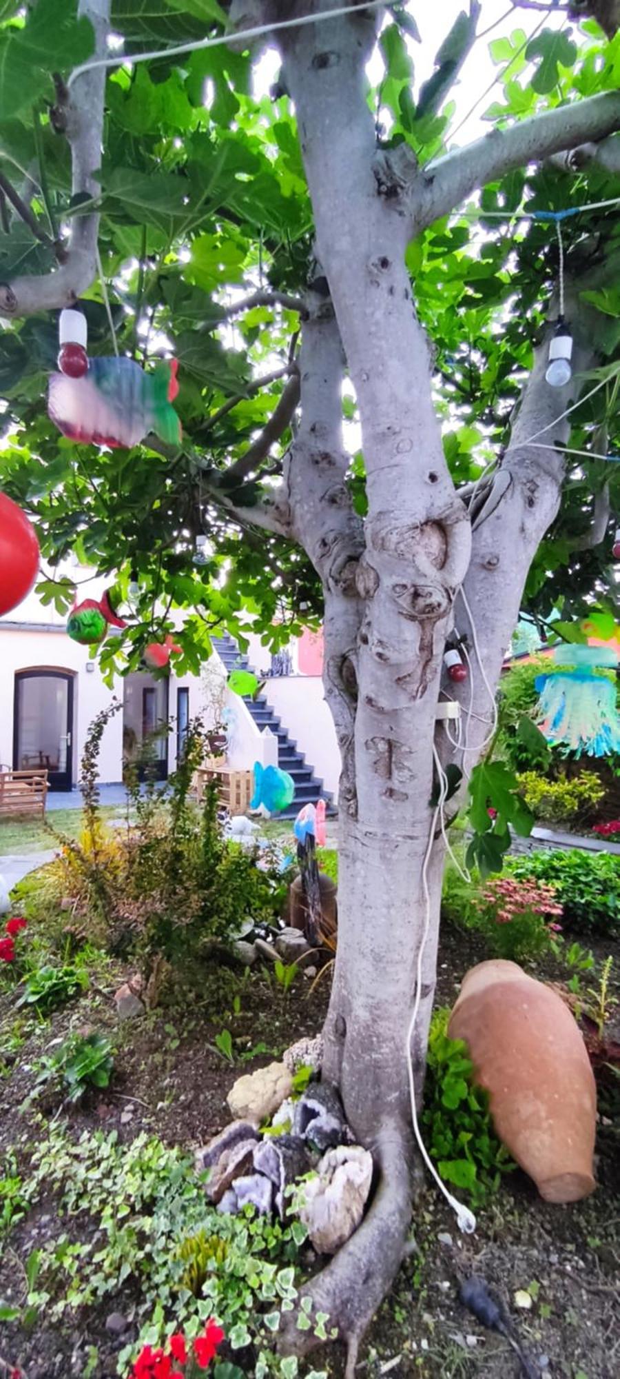 Hostel Namor Рибадео Экстерьер фото